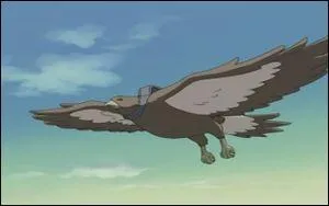 Ce faucon est le messager le plus rapide du village du sable :