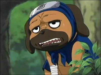 Il est invoqu par Kakashi, il est trs intelligent et a un excellent odorat :