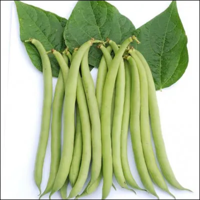 Quelle est cette variété de haricots verts ?
