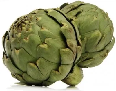 Quelle est cette variété d'artichaut ?