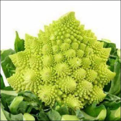 Quelle est cette variété de chou-fleur ?