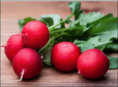 Quelle est cette variété de radis ?