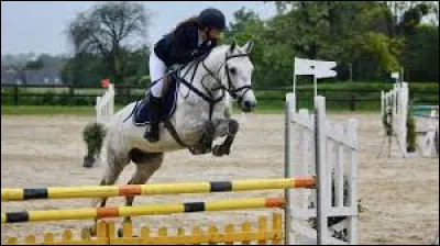 Quel est le record du monde de saut d'obstacles ?