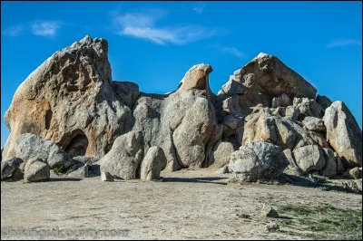 Quel est le nom de la technique de datation utilisée par les archéologues pour mesurer la quantité de carbone restant dans un organisme ?