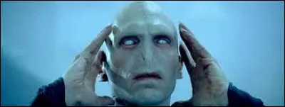 Avec quoi la personne a-t-elle détruit le premier horcruxe ? (sans compter la bague)