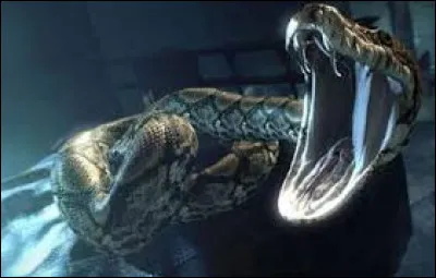 Comment s'appelle le serpent de Voldemort ?
