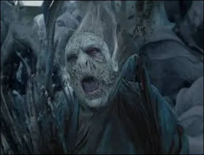 Voldemort a-t-il "contribué" à sa mort ?