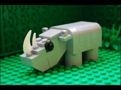 Cet animal ne vit qu'en Afrique !