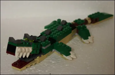 Trouve l'ennemi de cet animal !