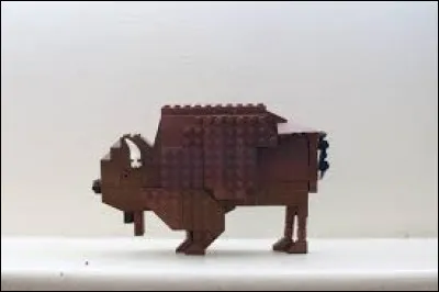 Identifie cet animal !