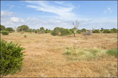 Au bord de quel golfe se situe Lagos ?
