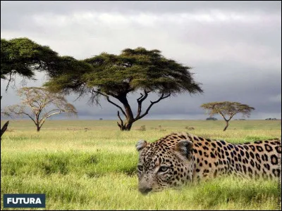 Dans quel &Eacute;tat nig&eacute;rian se situe Lagos ?