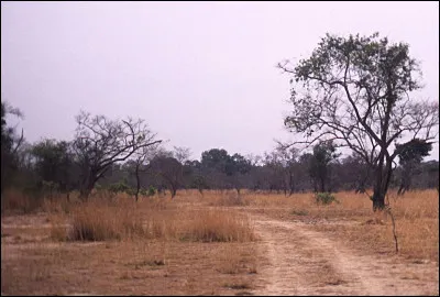Combien d'habitants vivent &agrave; Lagos ?