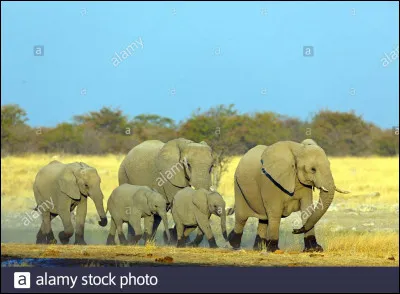 Quelle est son altitude par rapport &agrave; la mer ?