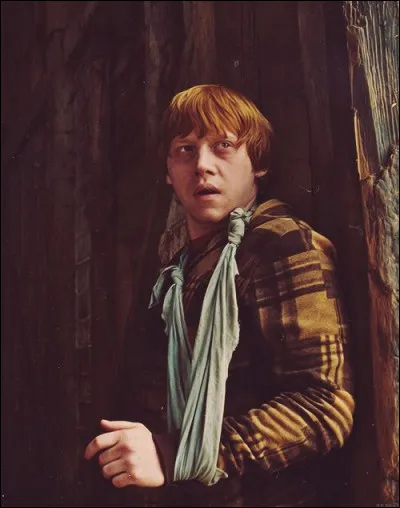 Après le mariage, où Harry Potter, Ron Weasley et Hermione Granger transplanent-ils ?