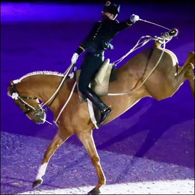 Quelle ville du bord de Loire est c&eacute;l&egrave;bre pour son &eacute;cole de cavalerie ?