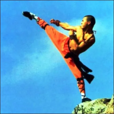 Quel monast&egrave;re chinois est consid&eacute;r&eacute; comme le berceau du kung fu ?