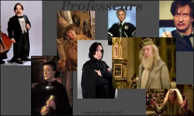 Quel es ton professeur préféré dans Harry Potter ?