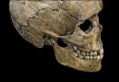 Quand est apparu le premier Australopith&egrave;que ? (le grand-p&egrave;re de Lucy)