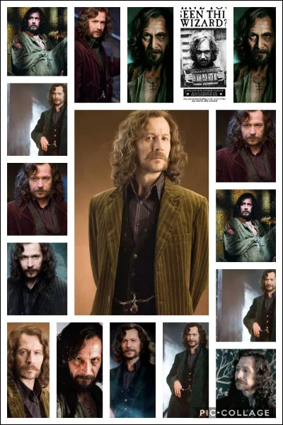Qui est Sirius Black ?