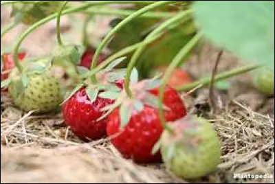 Cela ne vous concernait pas mais vous avez donné votre opinion malgré tout, vous avez donc ramené votre...