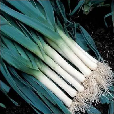 Si vous attendez le bus depuis des heures...