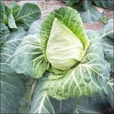 Quand vous échouez à votre mission, il est de couleur blanche...