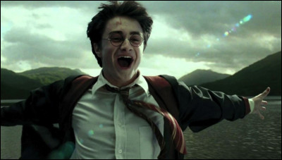 Quelle est l'année où Harry entre dans l'équipe de quidditch ?