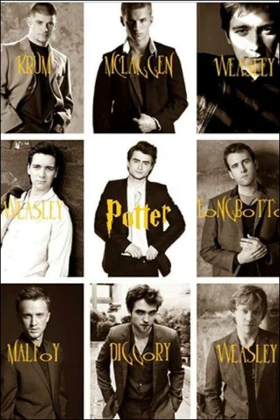 Pour qui Emma Watson a-t-elle eu un faible quand elle a commencé à jouer le rôle d'Hermione Granger ?