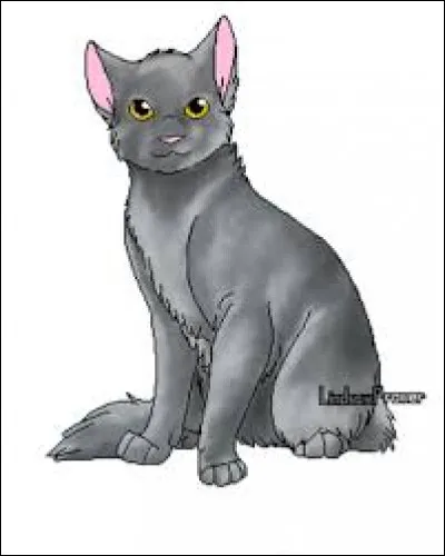 Étoile de Grêle, vous connaissez ? Qui est sa compagne ?