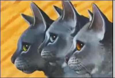 Étoile de Brume est la fille d'Étoile Bleue et amie de Rivière d'Argent. Qui est son compagnon ?