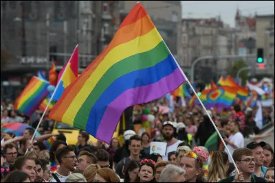 Quelle chanson est l'hymne des ''LGBT'' ?