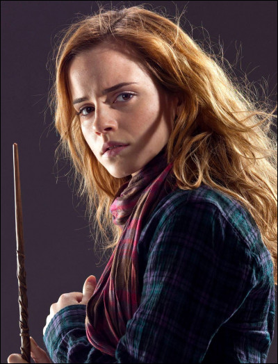 Quel est le métier des parents d'Hermione Granger ?