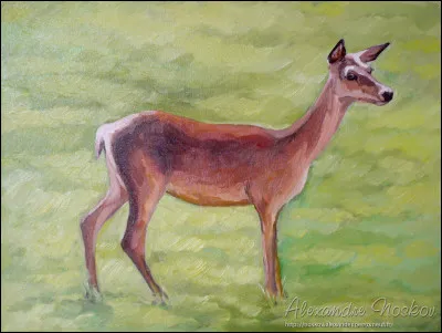 Quel est cet animal ?