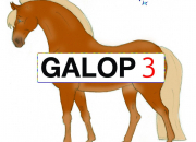 Quiz Galop 3