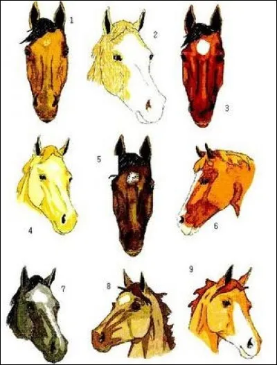 À quoi correspond le numéro 2 ?