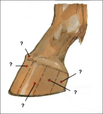 À quoi correspond le premier point d'interrogation en haut à gauche ?