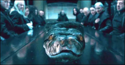 Qui tue Nagini lors de la bataille finale ?