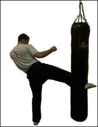 Quel acteur fut choisi parce qu'il savait raliser lui-mme toutes ses cascades, ce qui fait qu'il tait moins cher pour la production ?