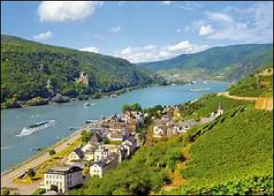 Dans quelle mer le Rhin se déverse-t-il ?