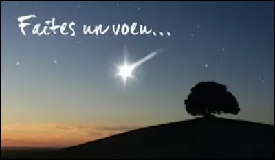 Si tu pouvais exaucer un vu, ce serait...