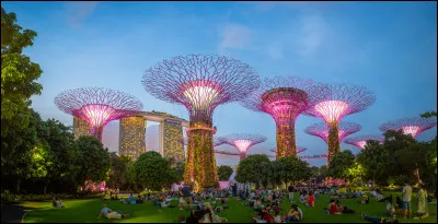 Quelle est sa superficie ?