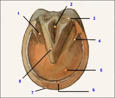 À quoi correspond le 6 ?