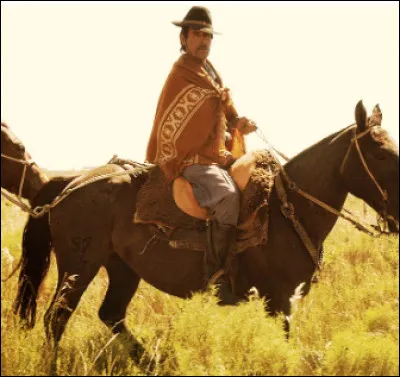 Quelle est cette race chevaline propre &agrave; un pays d'Am&eacute;rique du Sud ?