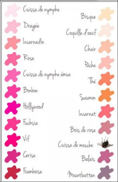 Sur ce nuancier des plus à la page, vous apercevez la couleur "cuisse de mouche", parmi les roses. Où se situe-t-elle ?
