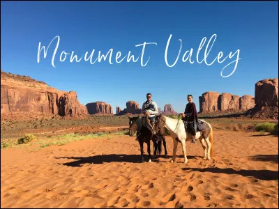 Parmi ces robes laquelle n'existe pas ?