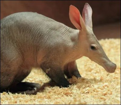 Vous l'avez vu dans le film !