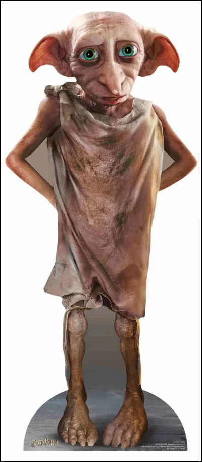 Qui est Dobby ?