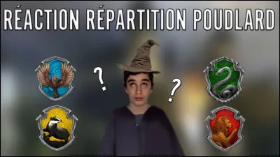 Dans quelle maison était Harry Potter ?