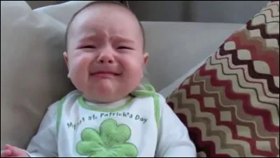 Comment ceci se nomme-t-il ?